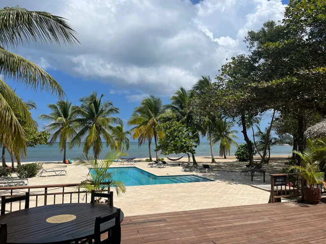 The Cove Palmetto Bay