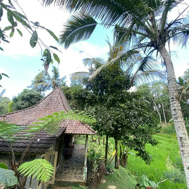 Tepi Sawah Lodge