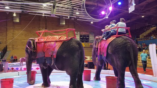 Aberdeen Civic Arena