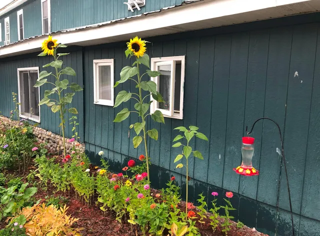 Tahquamenon Bed and Breakfast