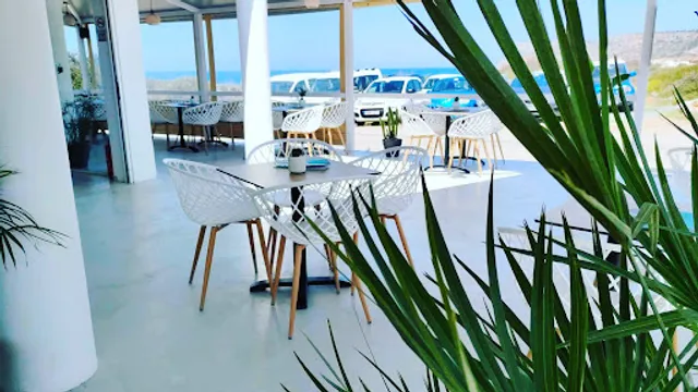 Farfalle pasta&winebar