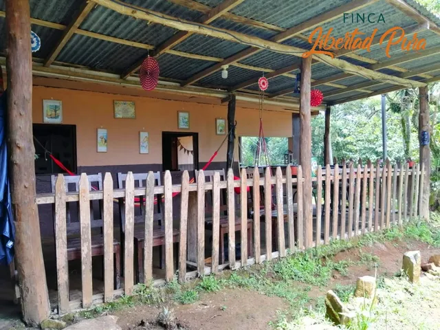 Finca Libertad Pura
