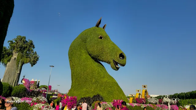 Miracle Garden Car Parking