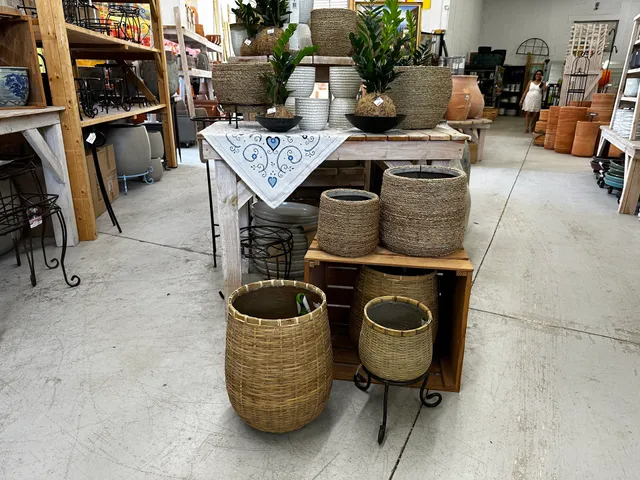 Amelia's SmartyPlants