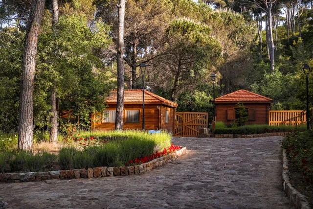 La Maison de la Forêt