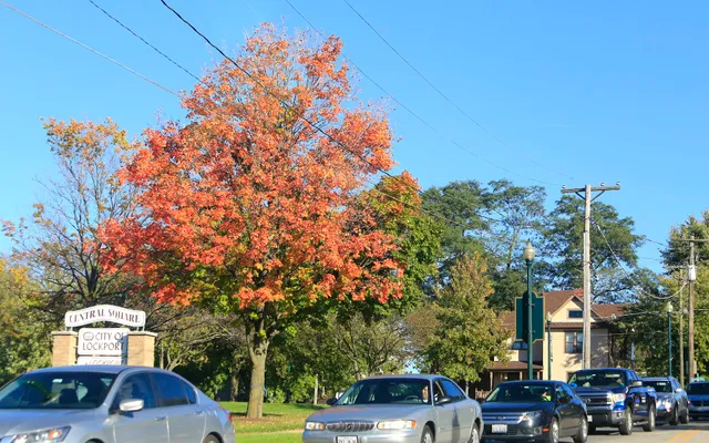 Lockport Township Park Distribution