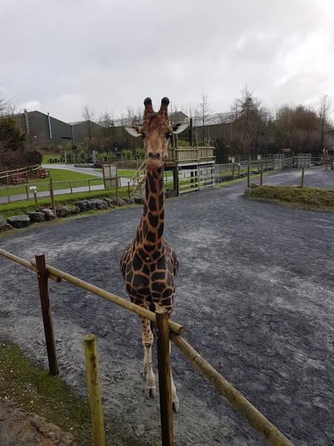 Stone Pitt Holiday Park