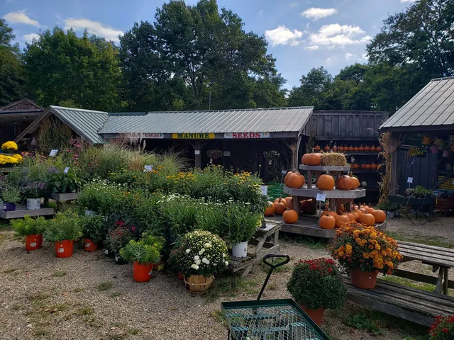 Williams Trading Post