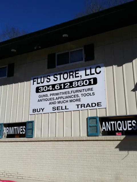 Flu's Store