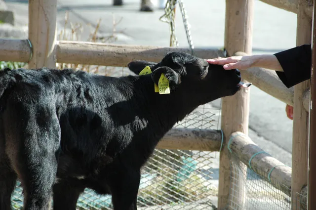 Nagoya City Agricultural Center