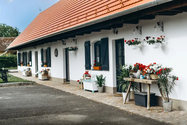 Pájlánd HÁZ -1770- Márok