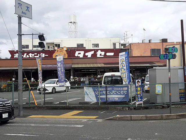 Taise Home Improvement