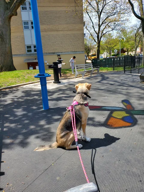 Briarwood Playground