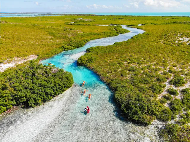 The Looking Glass Clear Kayaks & Paddleboards