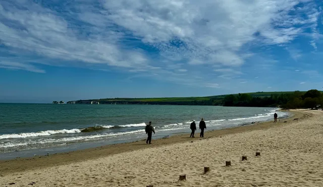 National Trust - Knoll Beach