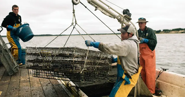 Peconic Gold Oysters Inc.