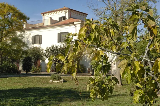 Marina Colonna Oleificio