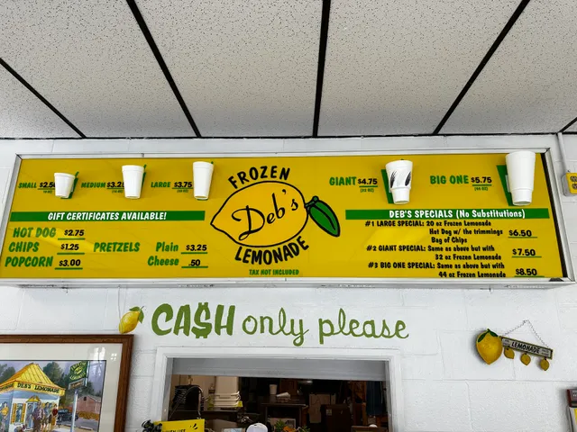 Deb's Frozen Lemonade