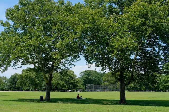 Canarsie Park