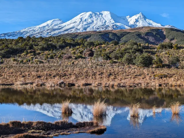 Waitonga Falls Walk Trailhead