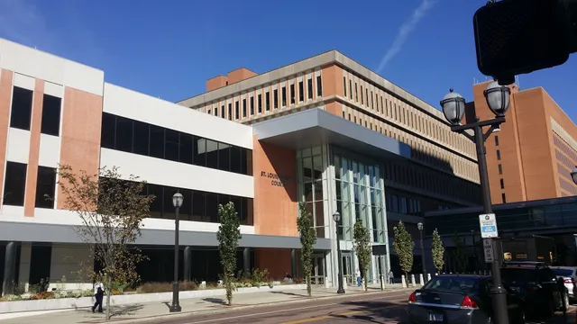 St Louis County Court
