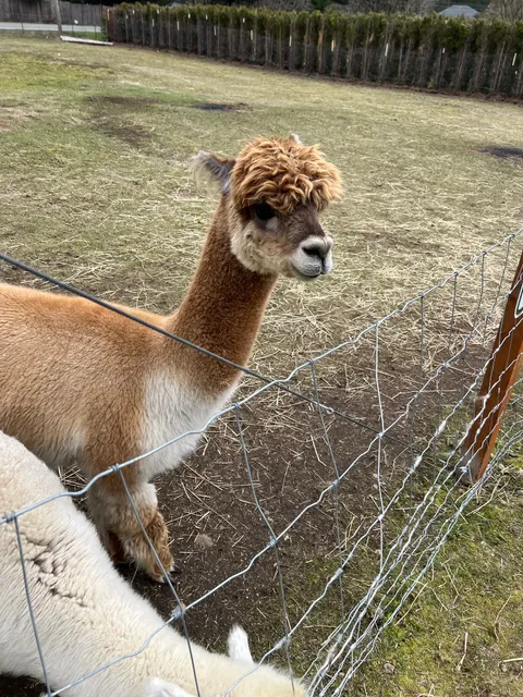 Infinity Farm Issaquah