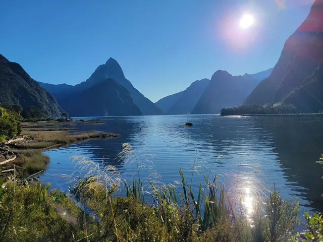 Milford Sound Lookout