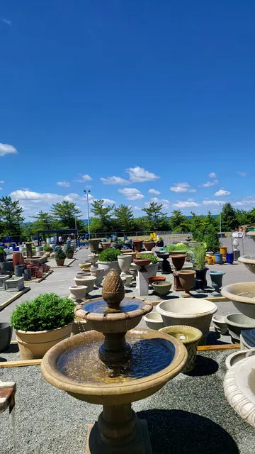 Campania International Inc