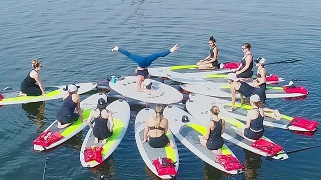 Vision Paddle Boards