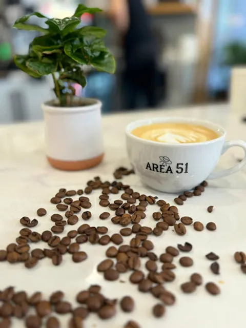 Le Pavé, Specialty Coffee Shop