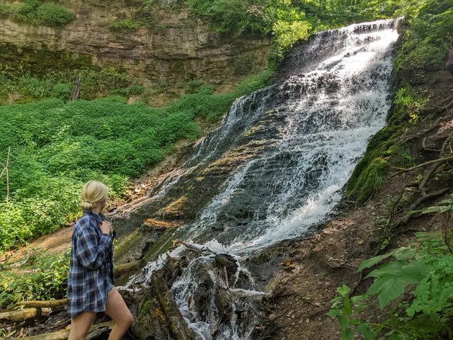 Standing Cedars Buffalo Skull