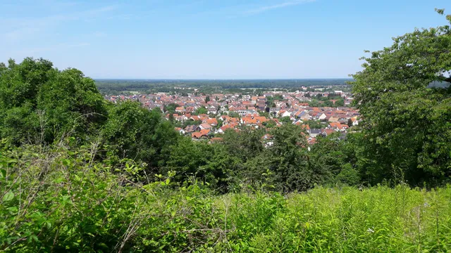 Julia Siegele Weingarten