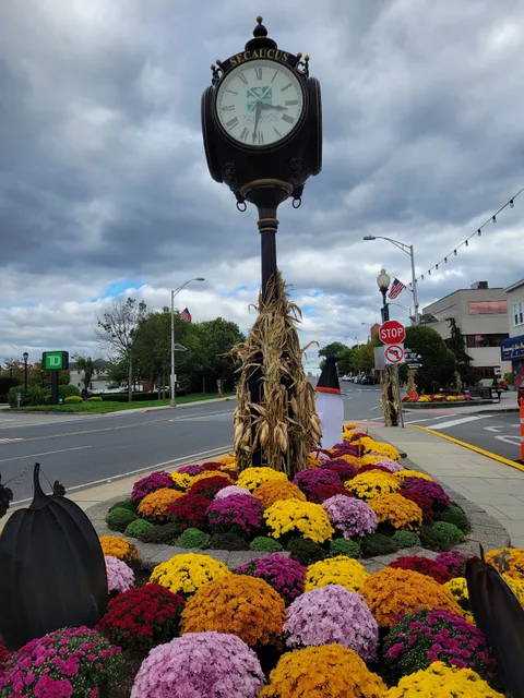 PLAZA PROFESSIONAL CENTER