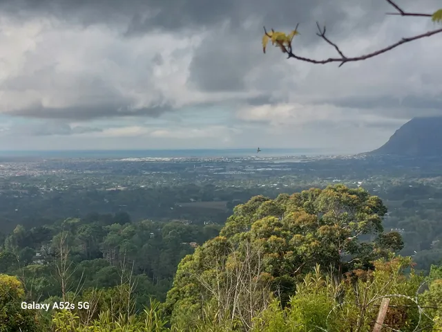 Cecelia Forest Hiking Trail