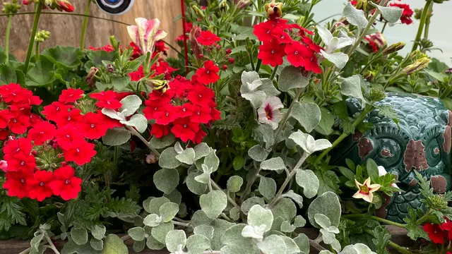 Kesslers Orchard & Greenhouse