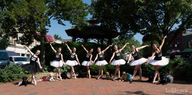 Fairmount Center for the Arts