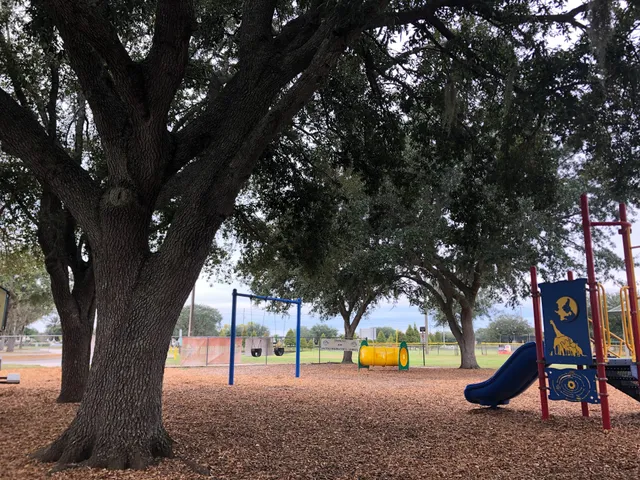 Land O' Lakes Recreation Center Collier Park Playground