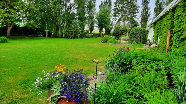 LOCREVE : Logements en Flandres Françaises