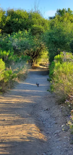 Peñasquitos Creek Park