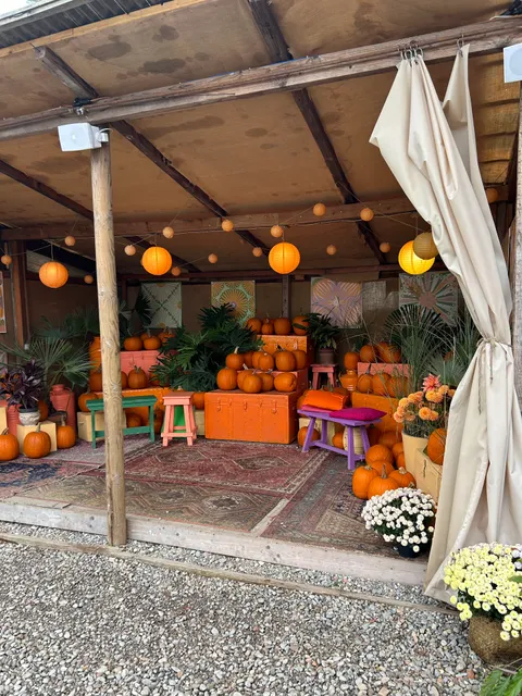 Il Campo di Federica