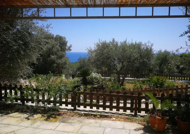 Amoru Bed & Breakfast