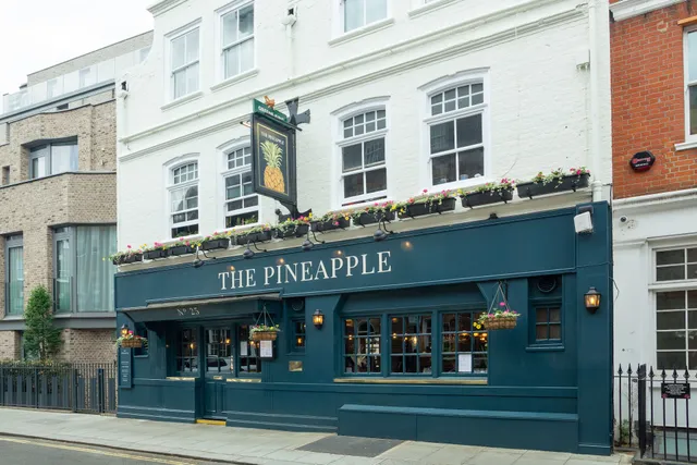 The Pineapple