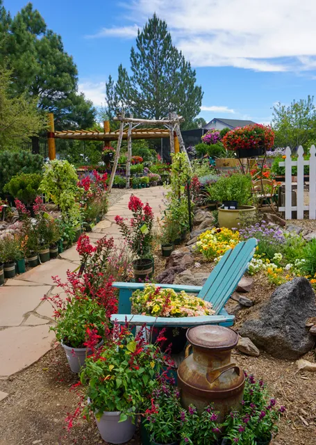 Viola's Flower Garden