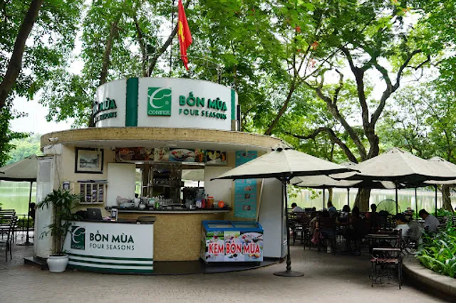 Conifer Bốn Mùa - Four Seasons