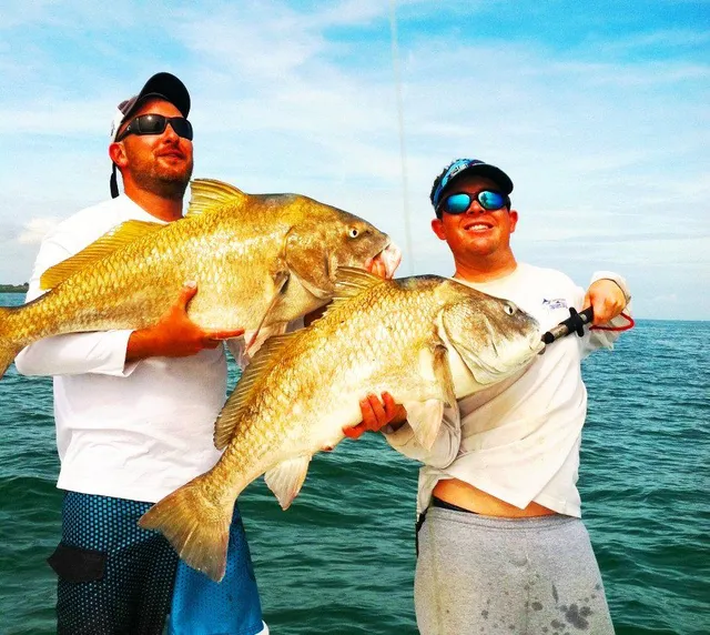 The Saltwater Hook Up Fishing Charters - Tampa Fishing Charters