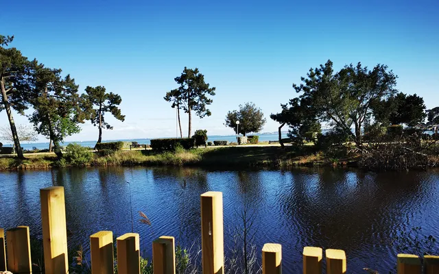 Le Bungalo(w)ve du Ferret