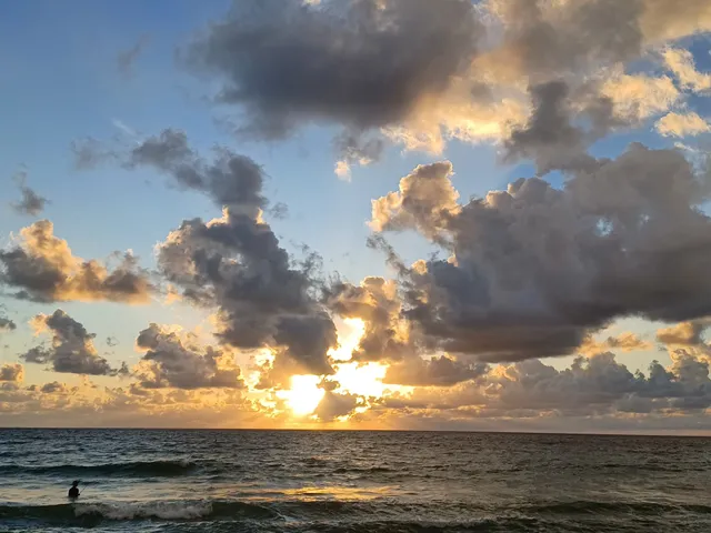 Berman Wetland Preserve