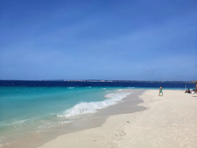 Prison Island Tour & Snorkeling