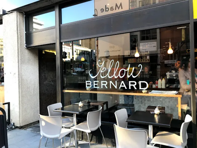 Yellow Bernard