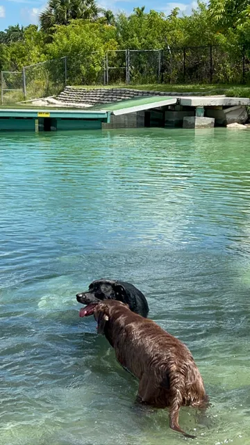 Performance Pups, Inc.